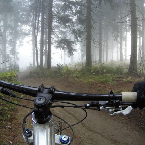 Mountain biking view over the handlebars